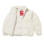 Supreme The North Face Jacket