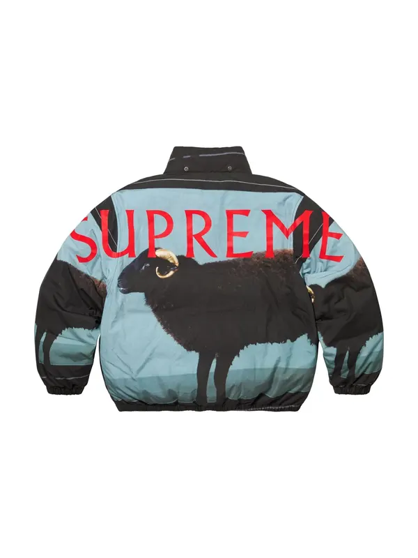 Shop Secondary Image